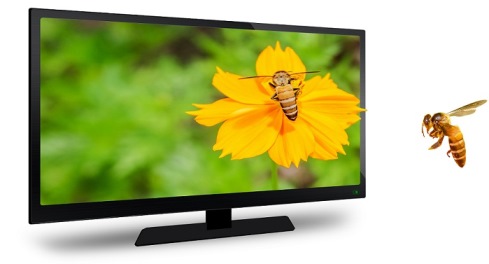 Shop Television With amazing offers